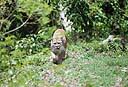 075Xcaret.jpg