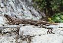 076Xcaret.jpg