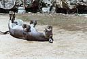 083Xcaret.jpg